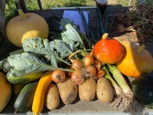 Groenten en fruit uit de moestuin
