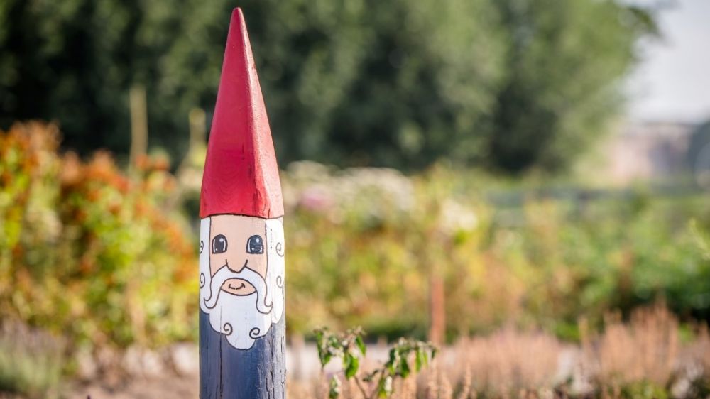 Een kabouter van het kabouterpad