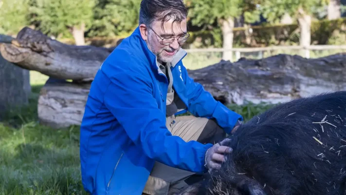 Thijs Park de Stadshoeve