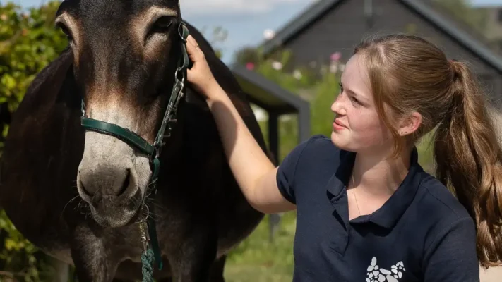 Yvon Park de stadshoeve