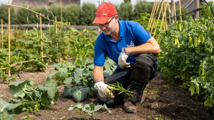 Bas ten Den - Vrijwilliger tuinen Park de Stadshoeve
