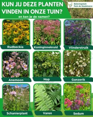 Plantenspeurtocht Park de Stadshoeve